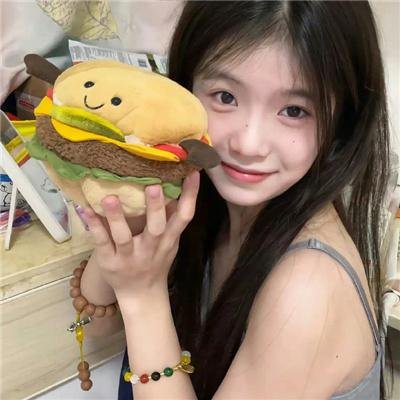 侠盗正传